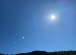 虫刺されの季節になりました　敦賀アロマルーム『IRODORIいろどり』