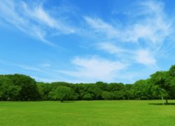 満月に　　敦賀アロマルーム『IRODORIいろどり』